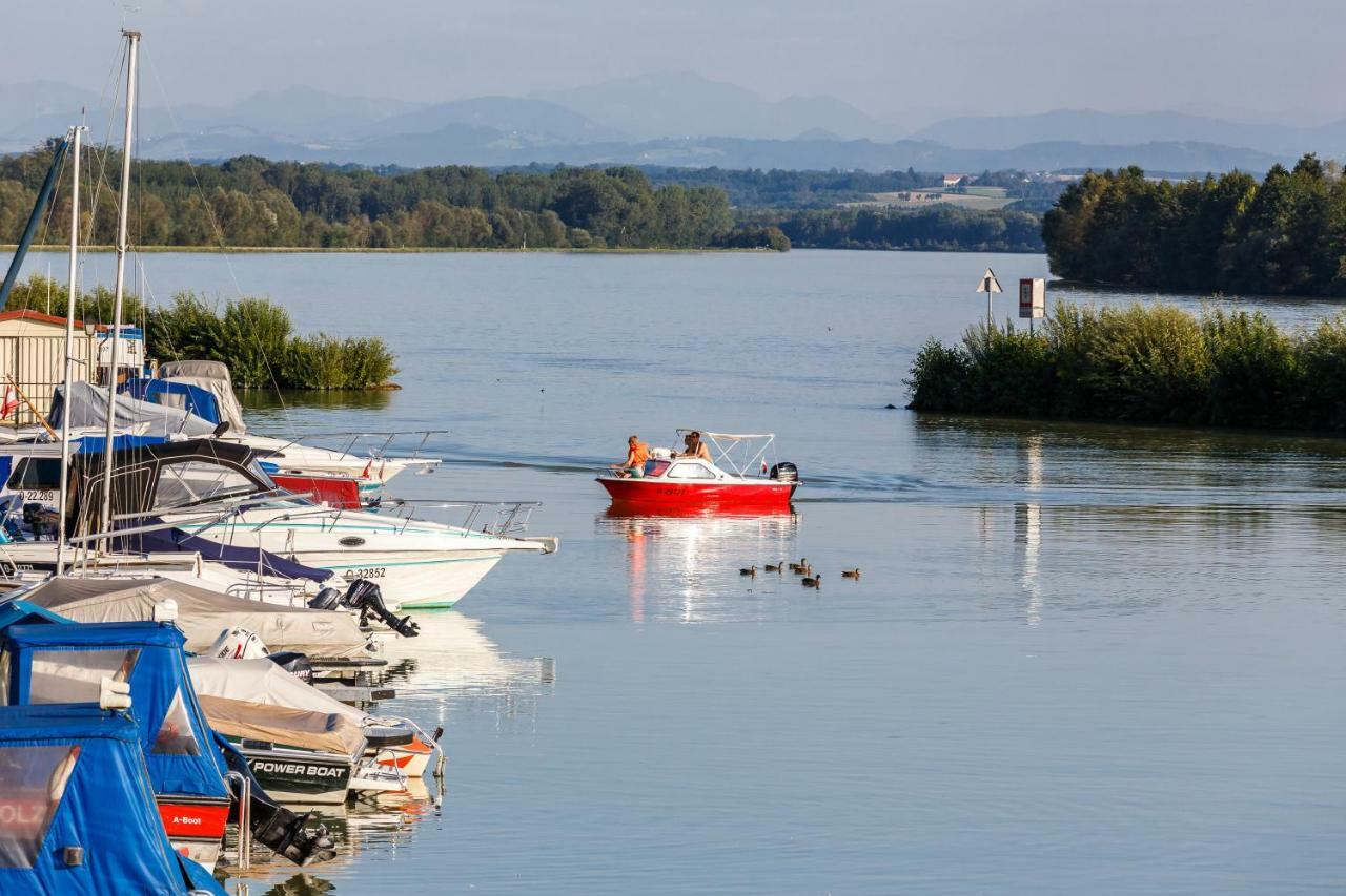Camping & Pension Au An Der Donau Ngoại thất bức ảnh