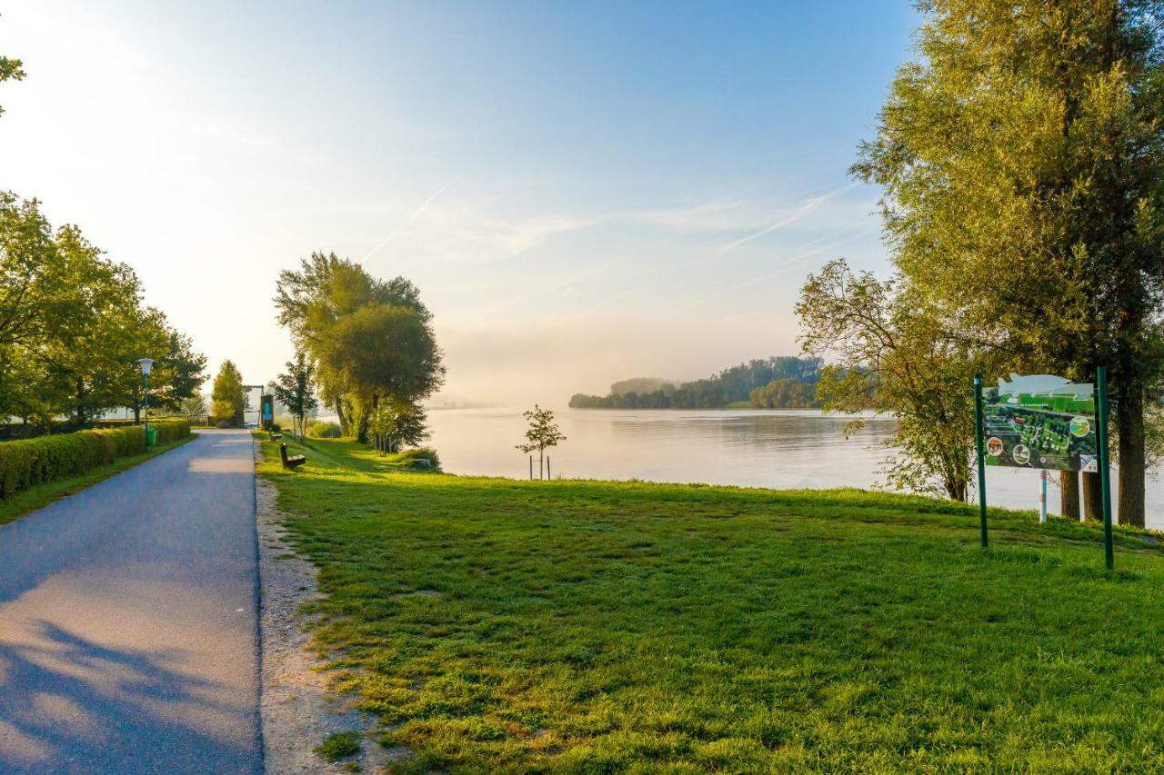 Camping & Pension Au An Der Donau Ngoại thất bức ảnh