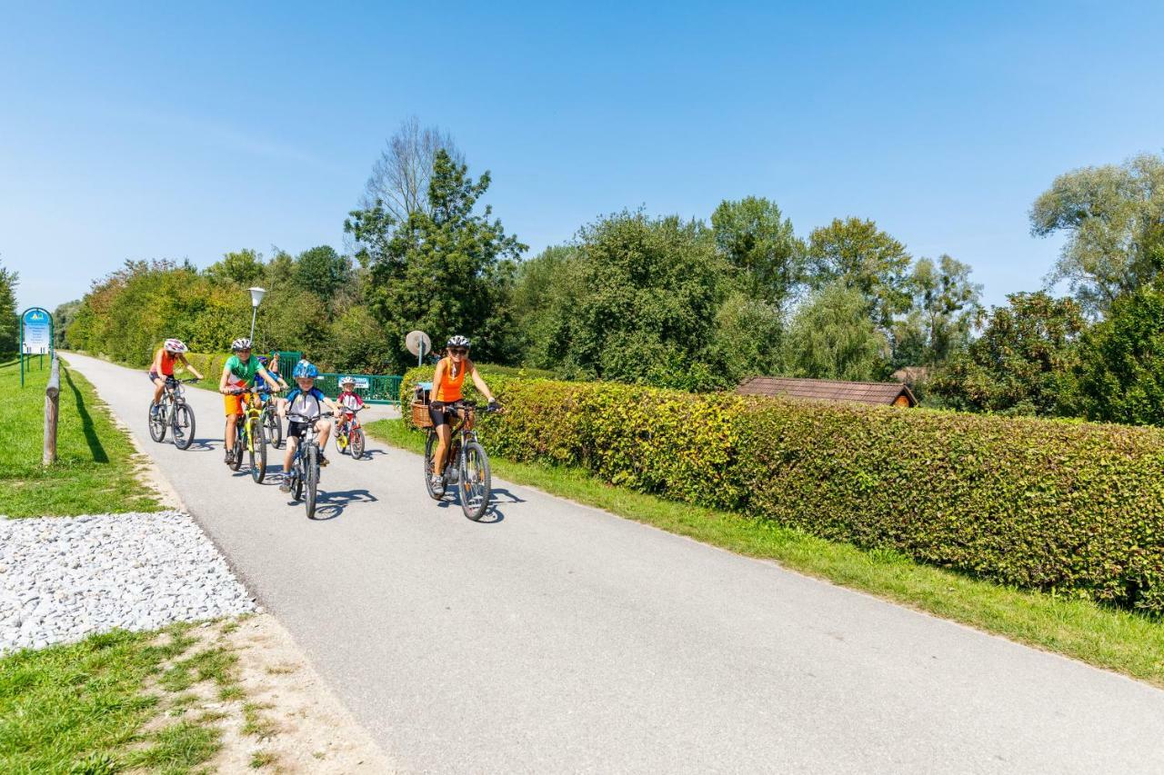 Camping & Pension Au An Der Donau Ngoại thất bức ảnh